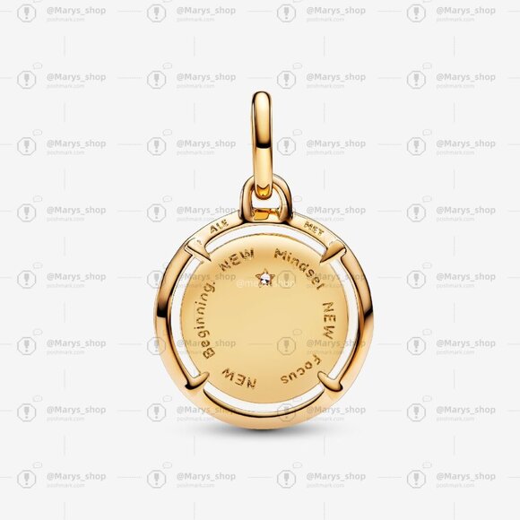 Pandora Scarab Beetle Medallion Charm - Picture 2 of 6